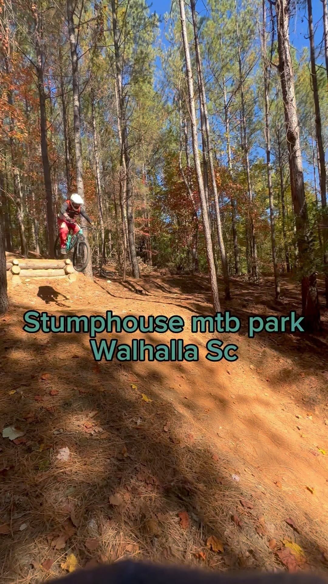 Post 7 by Blake Phillips on Instagram (video)