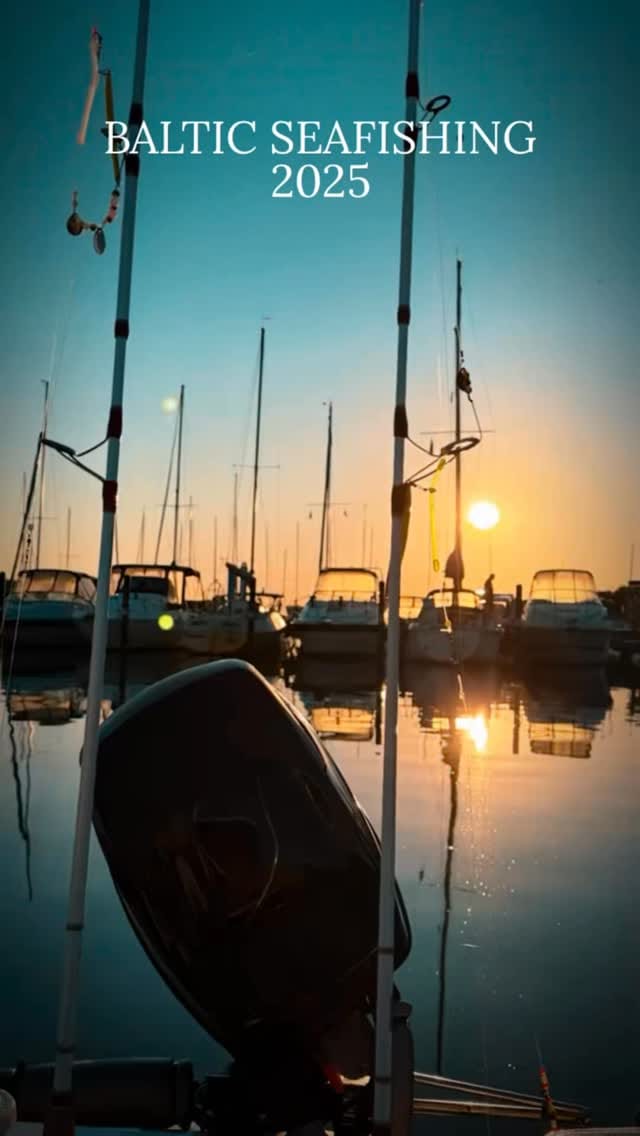 Post 5 by D I M A 🦉 on Instagram (video)
