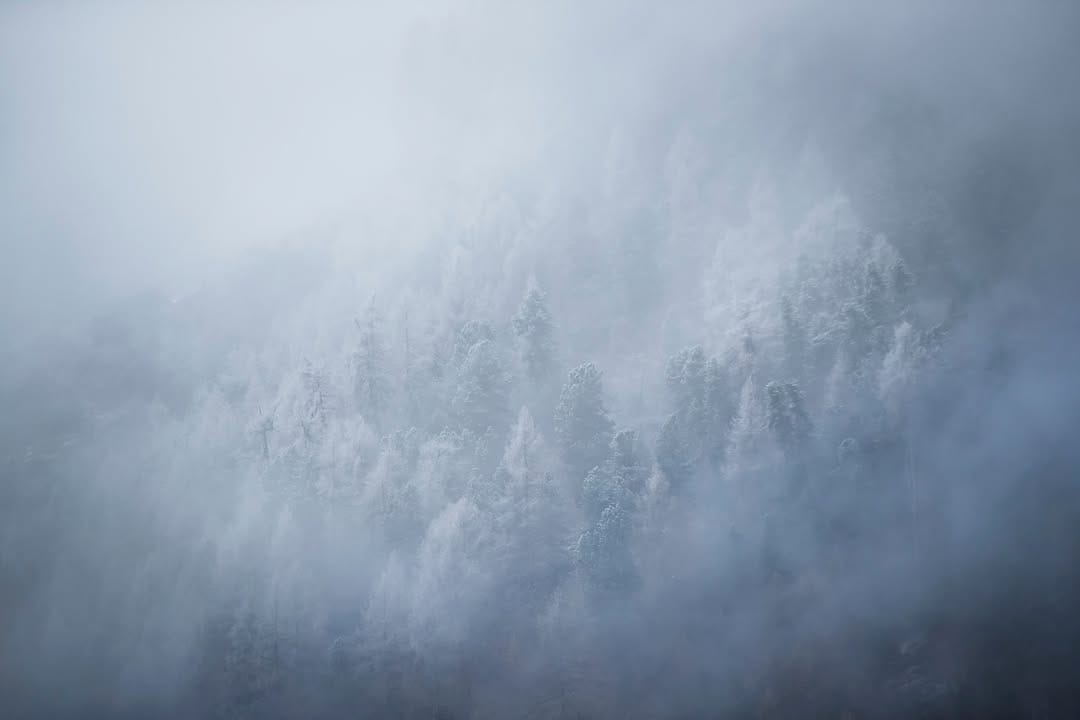Post 8 by Hansi Heckmair on Instagram (image)