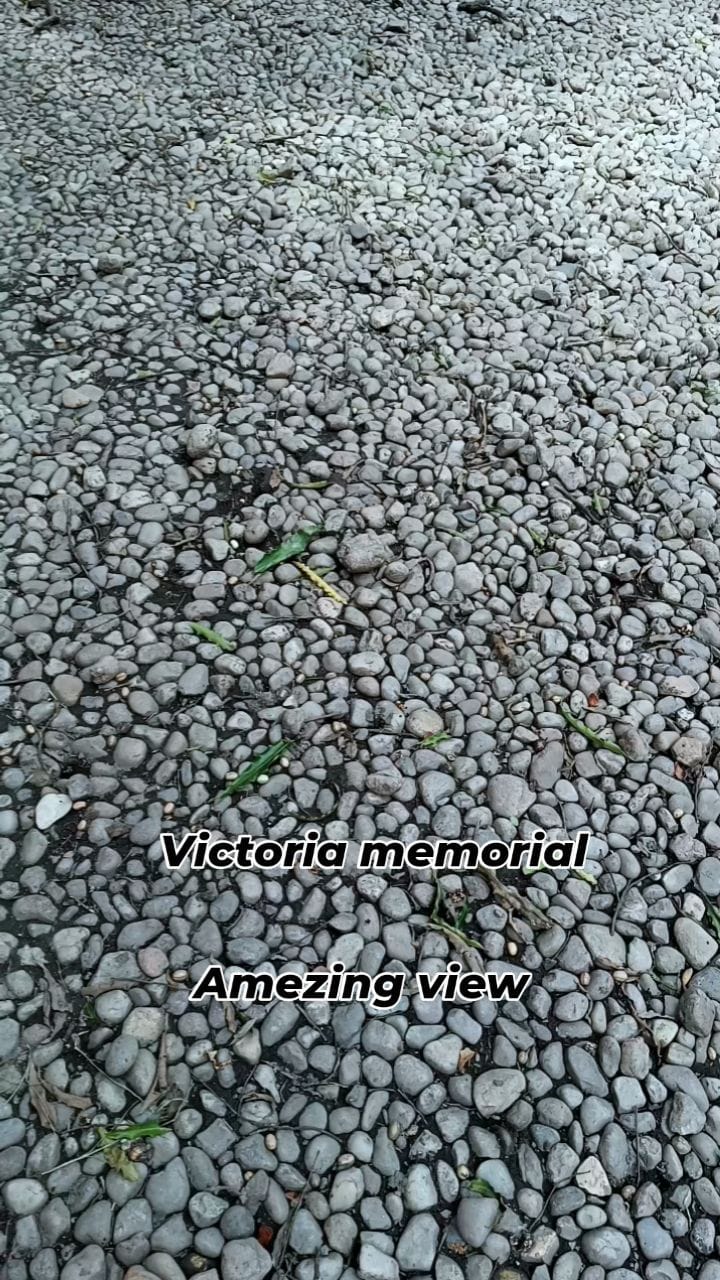 Post 10 by Priyambada swain on Instagram (video)