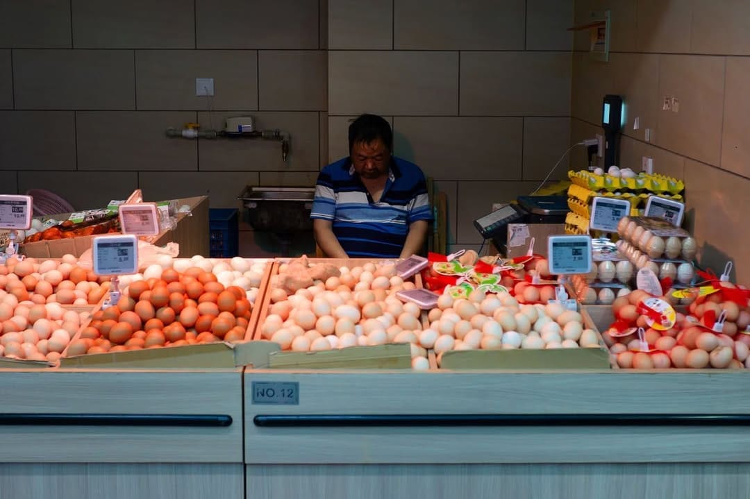 Post 6 by GROCERY|ONLINE|FRESH on Instagram (image)