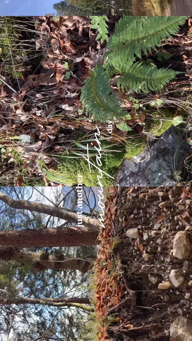 Post 6 by Melanie Falter on Instagram (video)