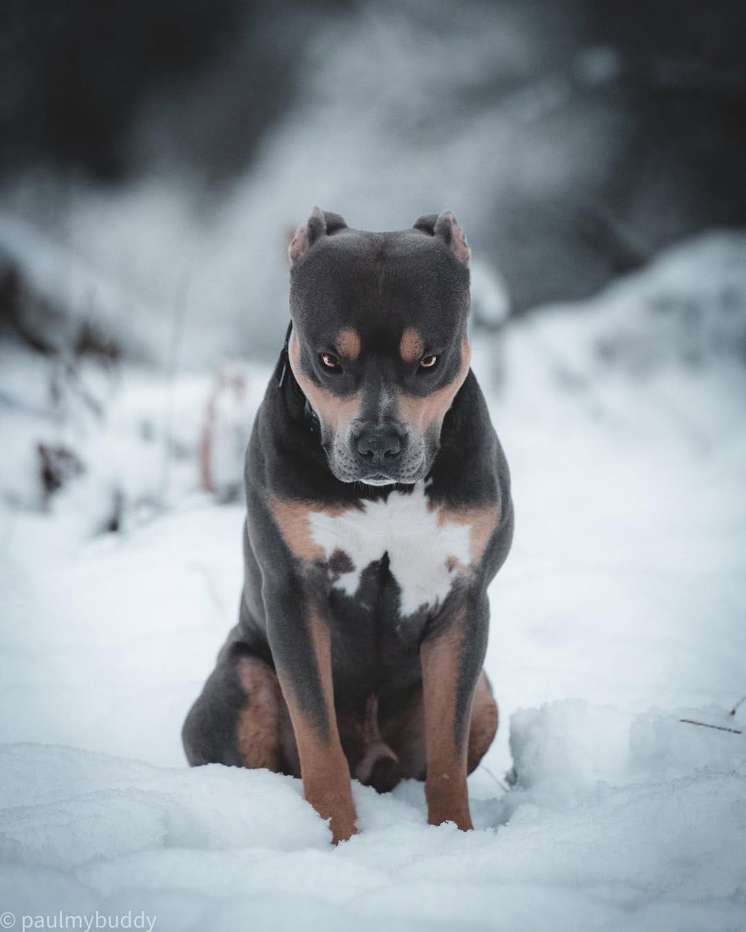 Post 8 by Paul & Lotte on Instagram (image)
