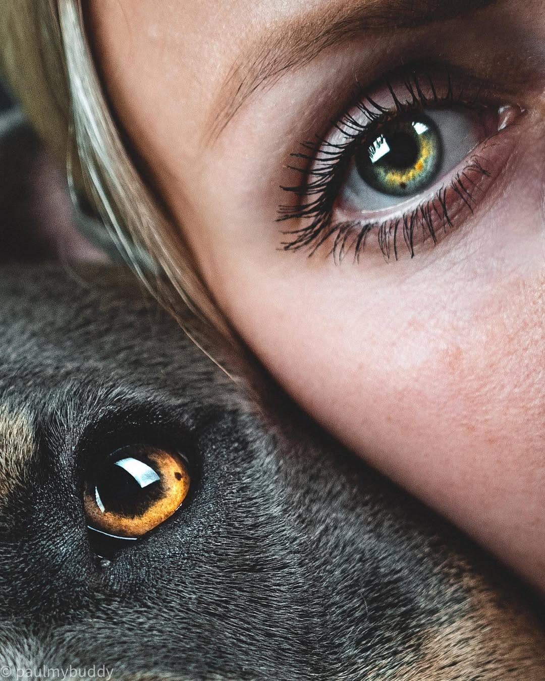 Post 10 by Paul & Lotte on Instagram (image)