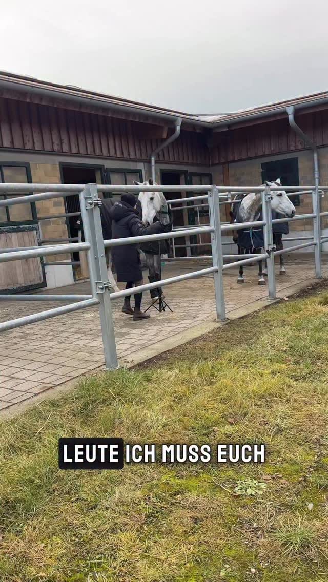 Post 8 by www.reitstiefel.shop on Instagram (video)