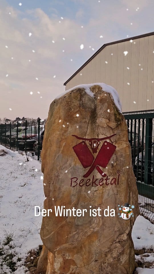 Post 6 by Firma Beeketal on Instagram (video)