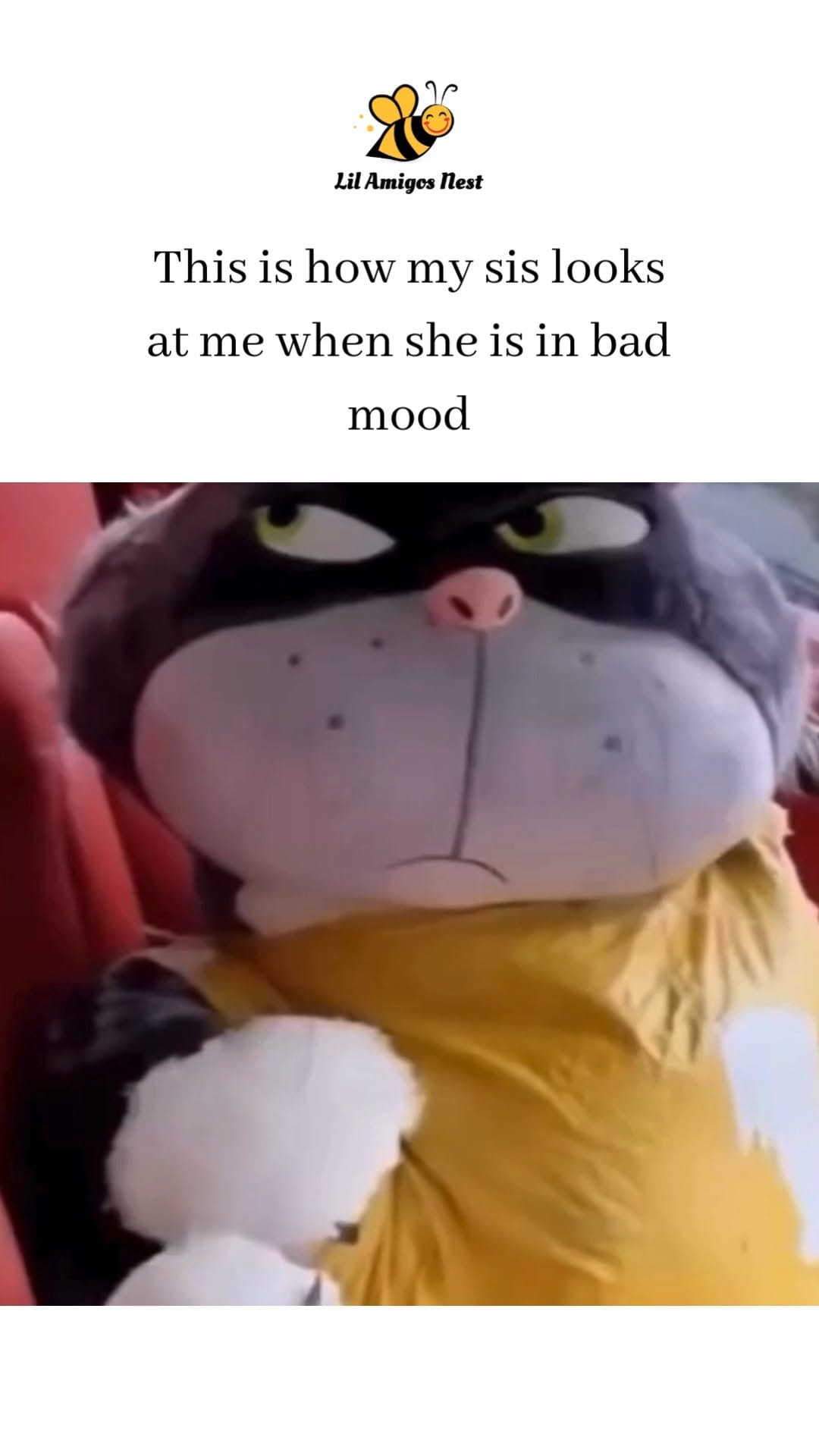 Post 9 by Lil Amigos Nest on Instagram (video)