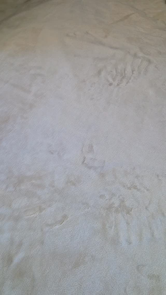 Post 3 by Fernandes Luyengo on Instagram (video)