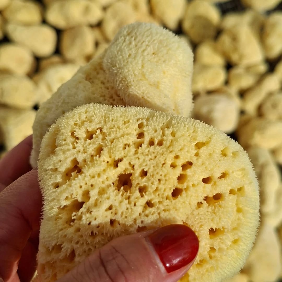 Post 8 by Kalymnos Shop on Instagram (image)