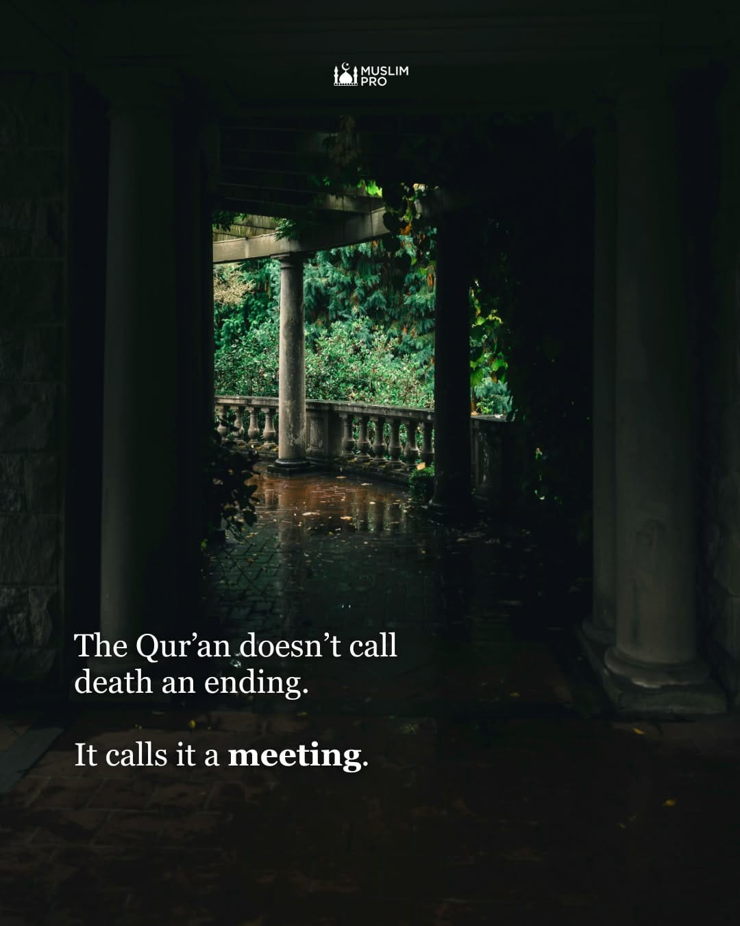 Post 6 by Muslim Pro App on Instagram (carousel)