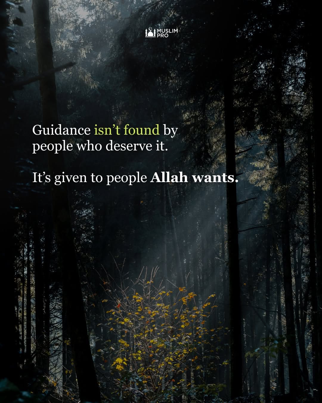 Post 7 by Muslim Pro App on Instagram (carousel)