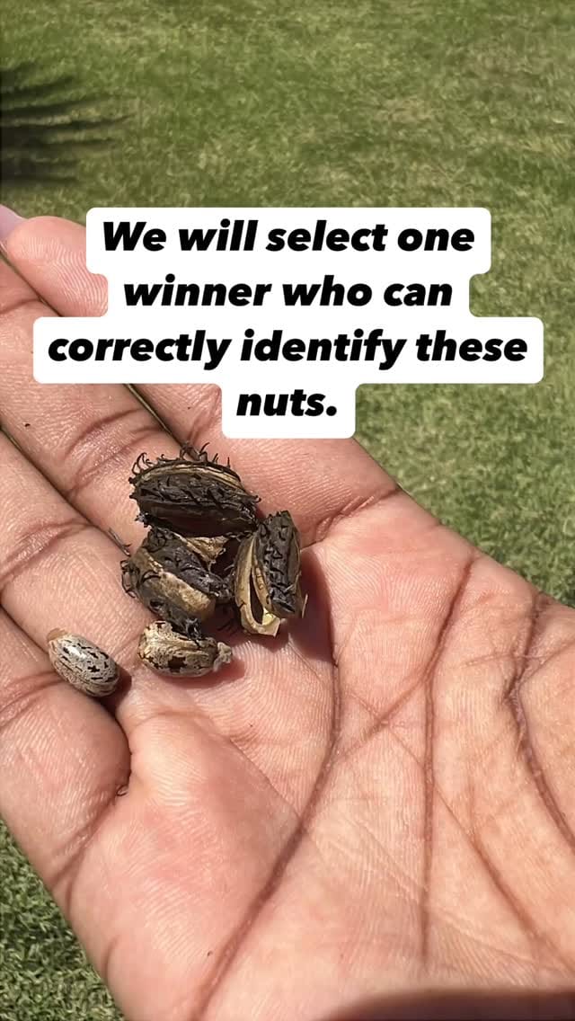Post 9 by jorganicsolutions.com on Instagram (video)