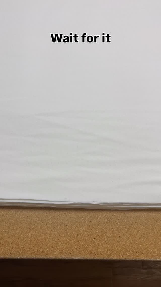 Post 5 by CHEEKS AHOY on Instagram (video)