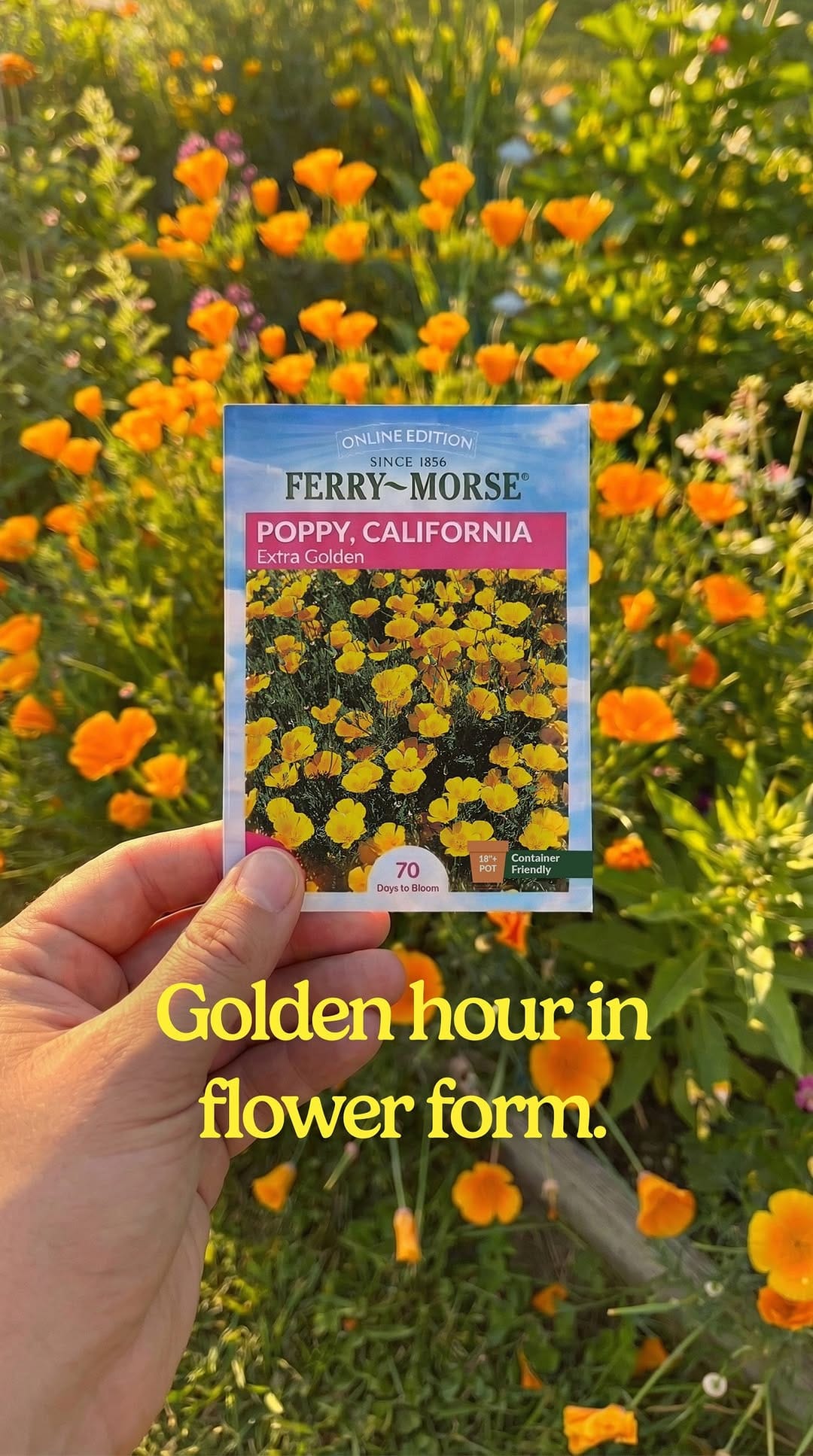 Post 1 by Ferry-Morse Home Gardening on Instagram (video)
