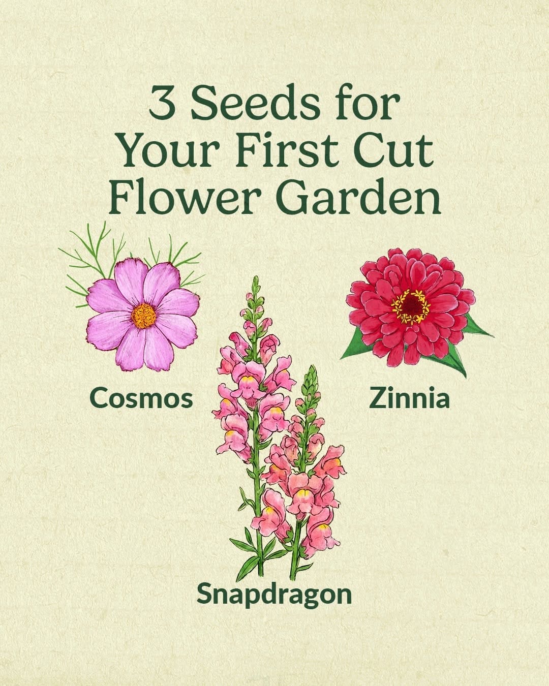 Post 8 by Ferry-Morse Home Gardening on Instagram (carousel)