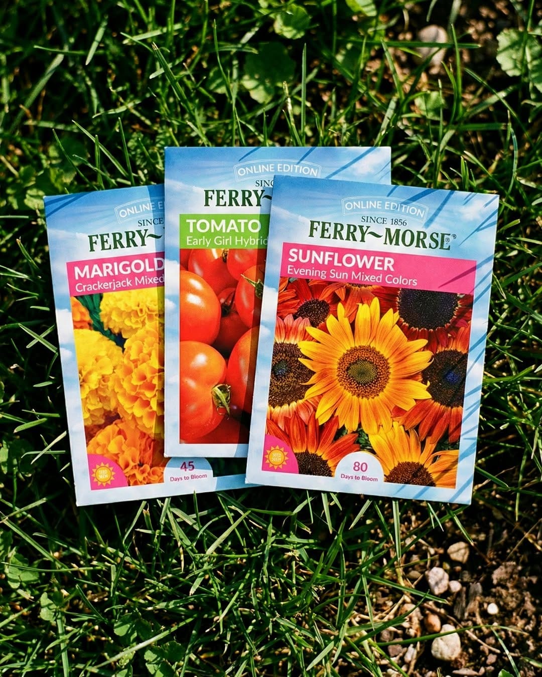 Post 6 by Ferry-Morse Home Gardening on Instagram (carousel)