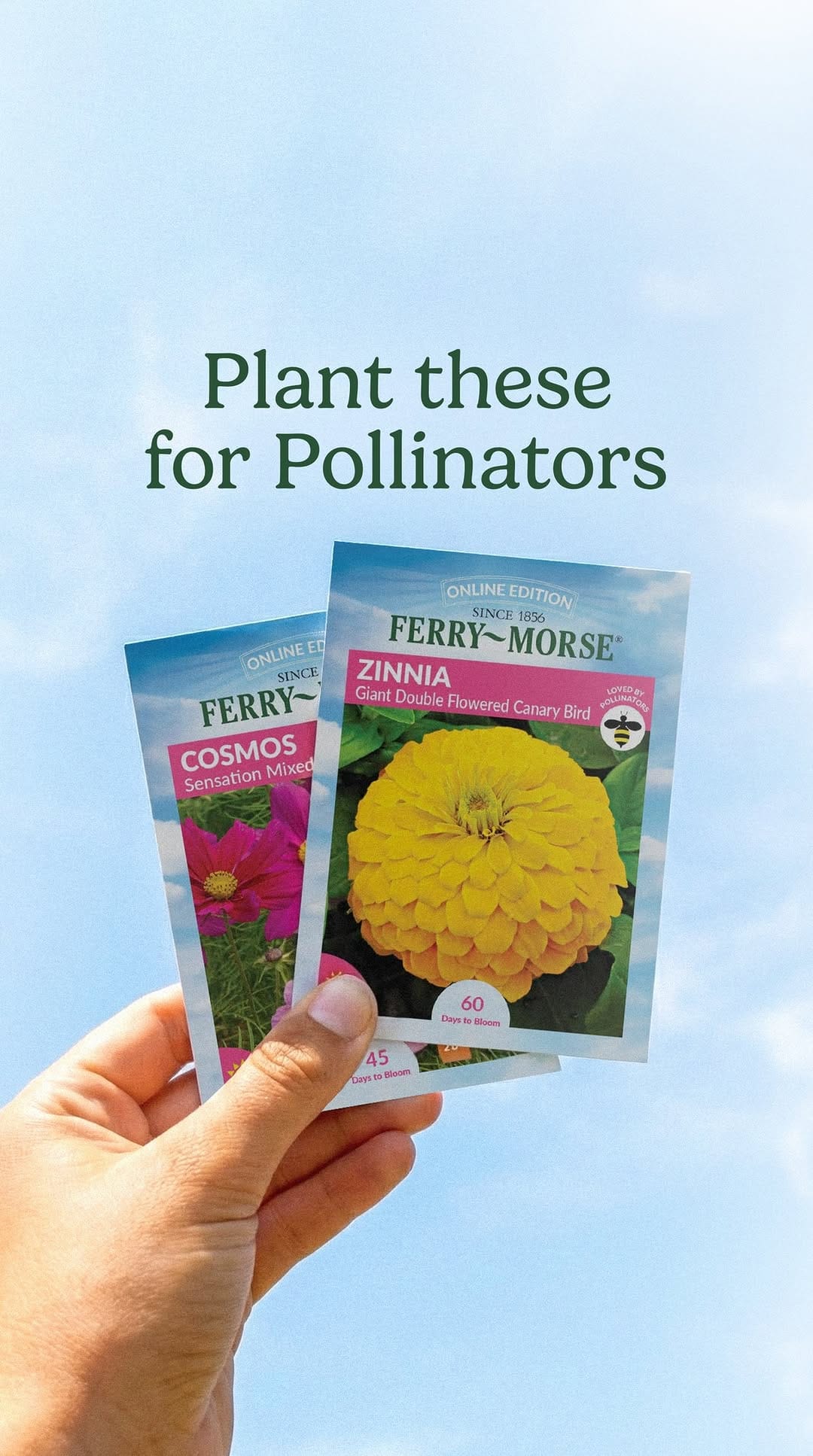Post 2 by Ferry-Morse Home Gardening on Instagram (video)