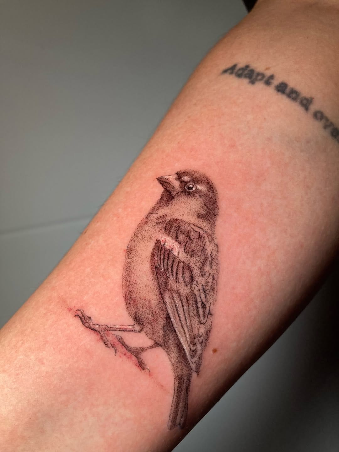 Post 3 by M̷O̷S̷T̷A̷Z̷A̷  / fineline tattoo microrealismo madrid on Instagram (carousel)