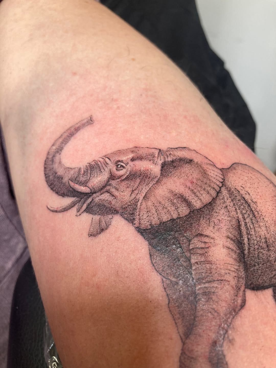 Post 6 by M̷O̷S̷T̷A̷Z̷A̷  / fineline tattoo microrealismo madrid on Instagram (carousel)