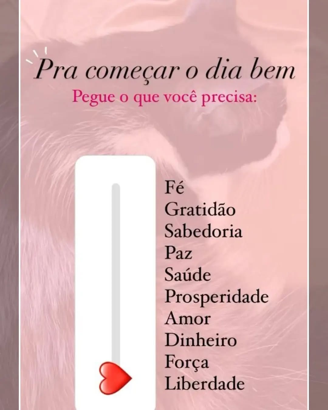 Post 1 by MODA FEMININA M&E MODAS on Instagram (image)