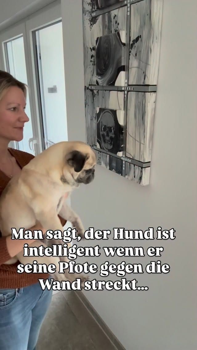 Post 10 by Sabrina & Mops Henri on Instagram (video)