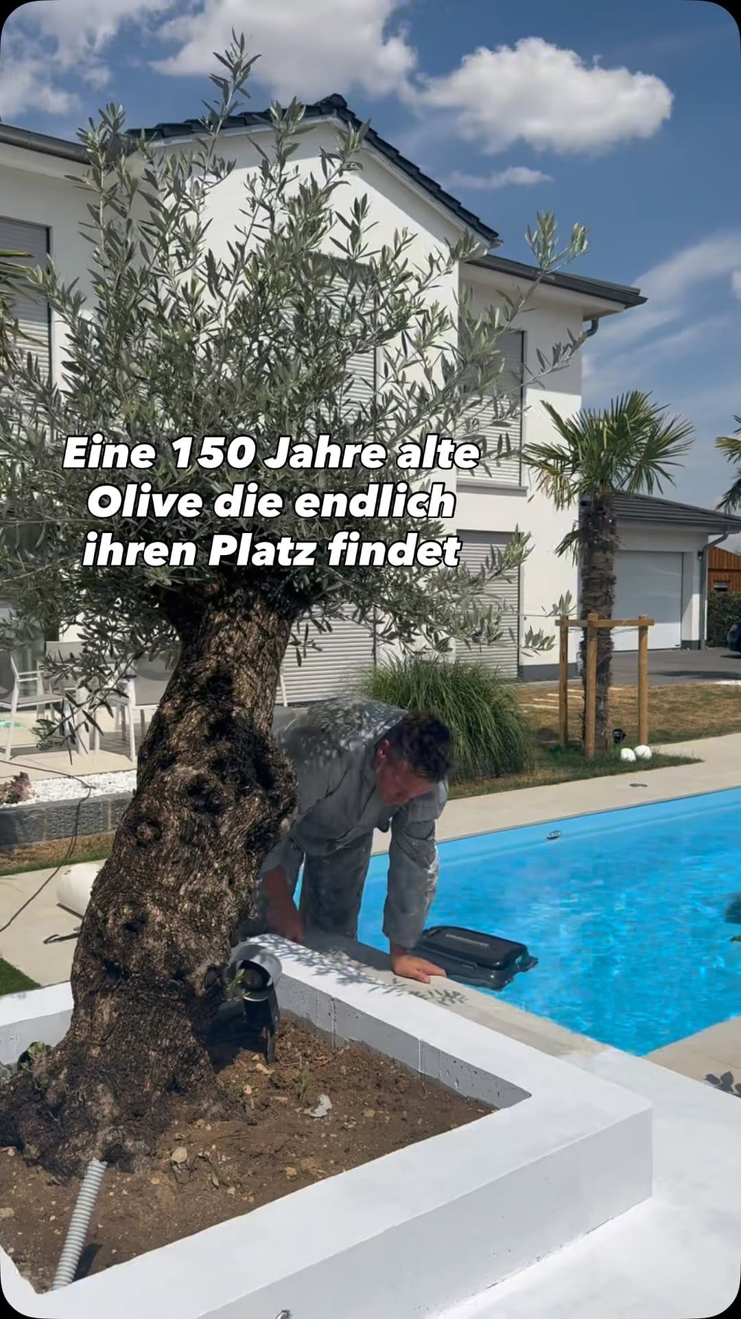 Post 7 by Mit Finn von Farben Löwe - DIY mit Farbe ohne schleifen on Instagram (video)