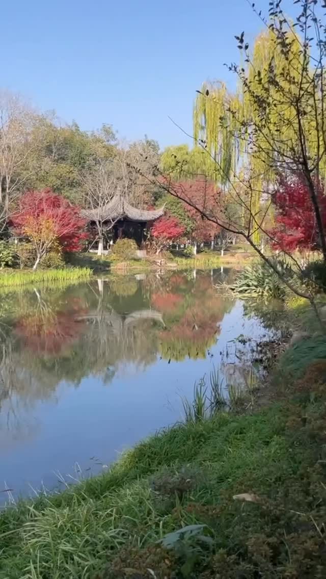 Post 8 by BertaBerlin travel guides on Instagram (video)