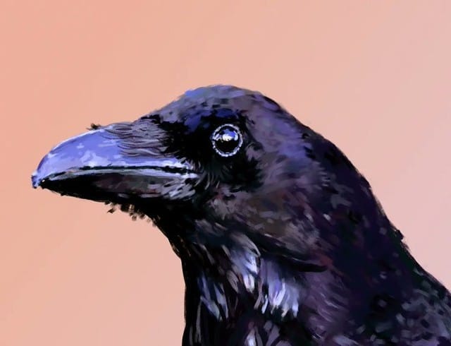 Post 2 by Corel Painter on Instagram (image)
