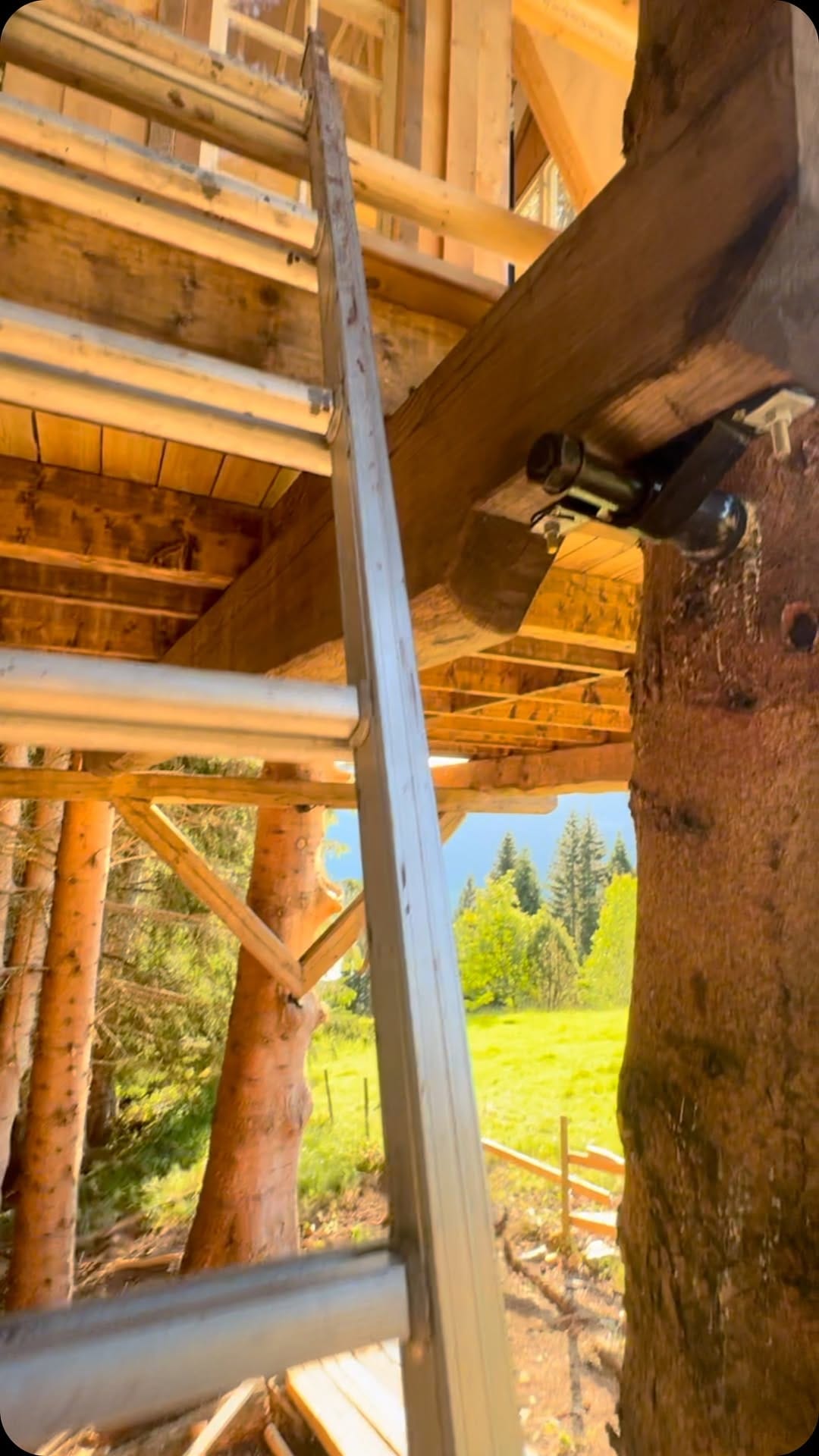 Post 8 by The Treehouse Shop   Ѧ   Treehouse Building Hardware on Instagram (video)