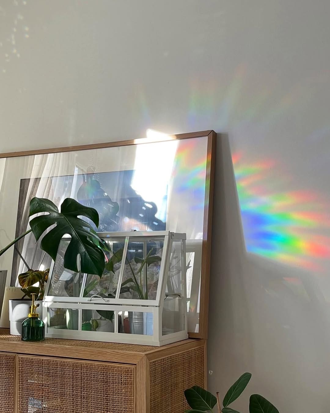 Post 3 by A store for plant lovers on Instagram (carousel)