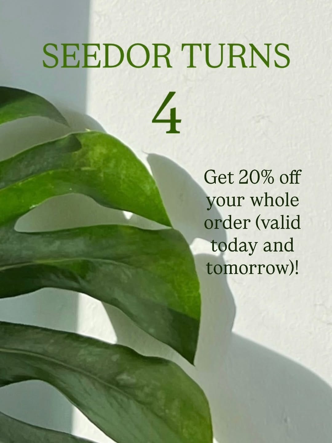 Post 5 by A store for plant lovers on Instagram (carousel)