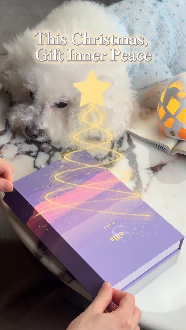 Post 2 by Scilla Rose on Instagram (video)
