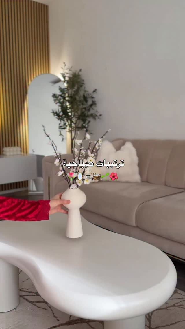 Post 3 by Aya Amouna on Instagram (video)