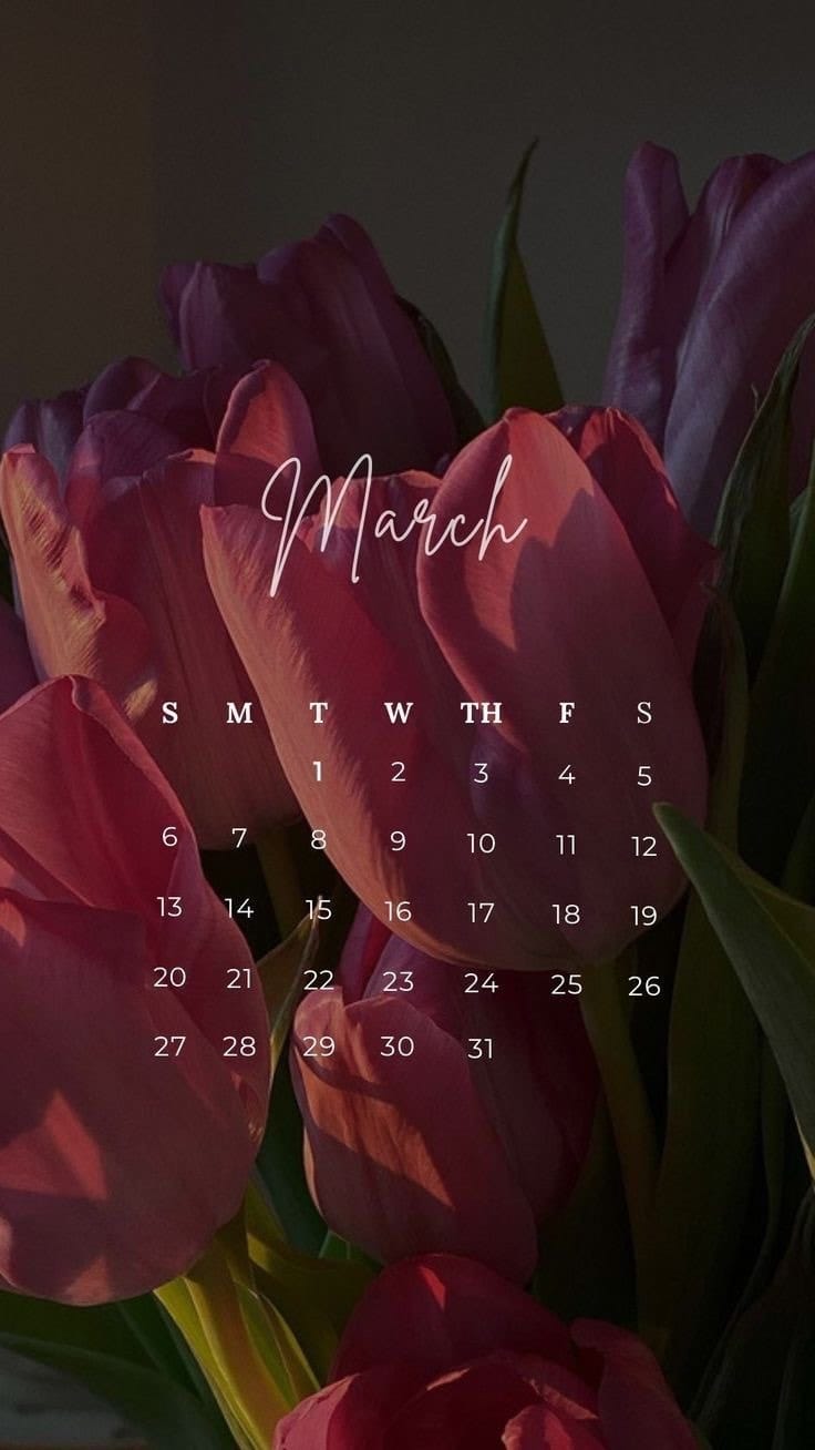 Post 10 by Romista | lifestyle • daily moments • cozy inspo on Instagram (video)