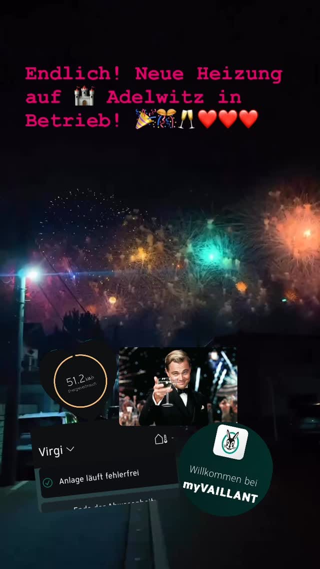 Post 4 by Dr. Virginia Kora Dietel on Instagram (video)