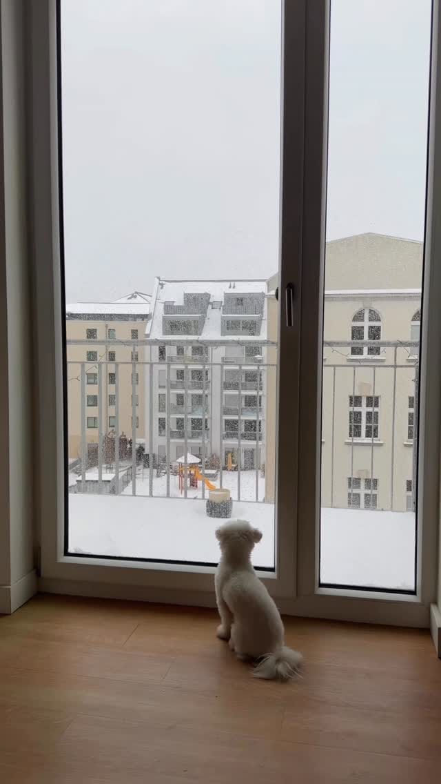 Post 4 by Visckel on Instagram (video)