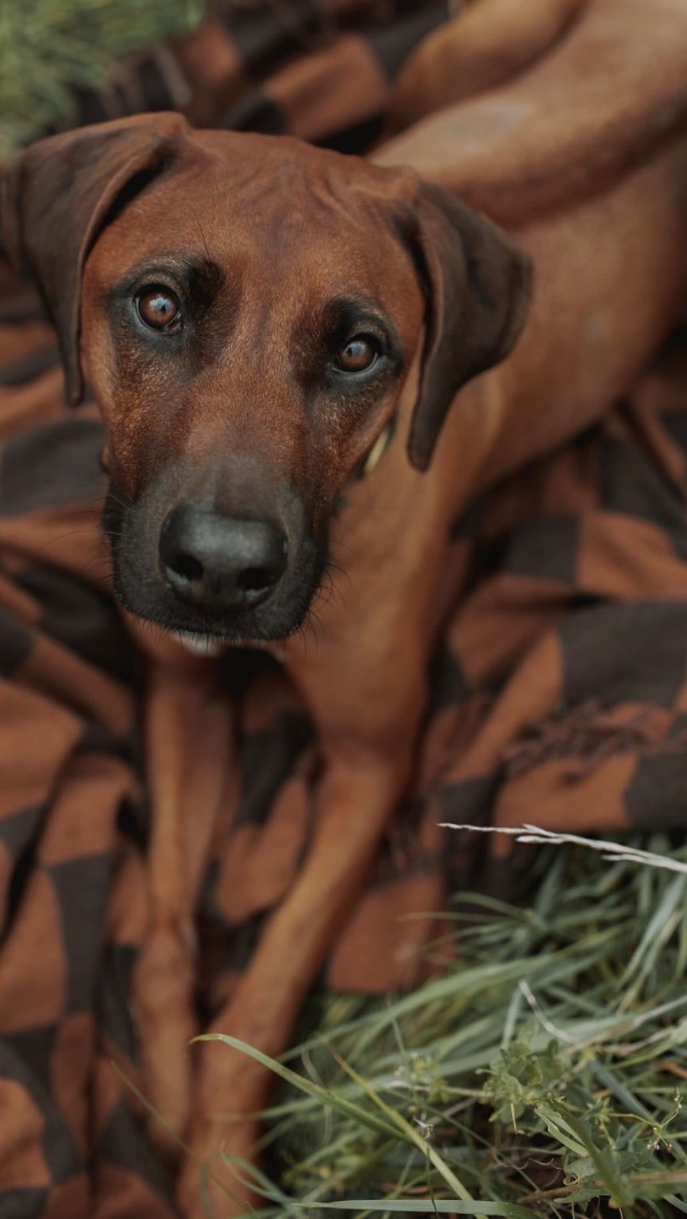 Post 1 by Sandra Haudeck on Instagram (video)
