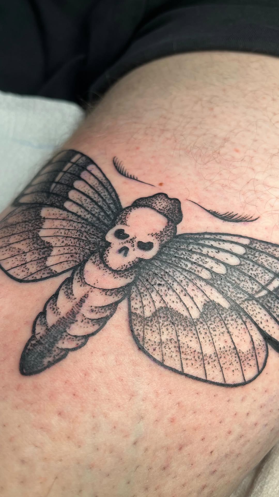 Post 1 by ALTER SCHWAN - Tattoo - Berlin on Instagram (video)