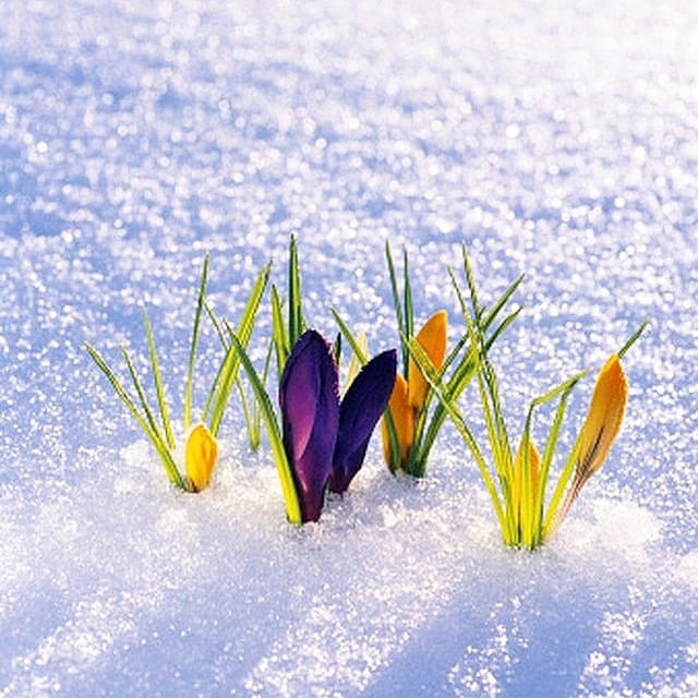 Post 5 by BLUEHILL Fragrances on Instagram (image)