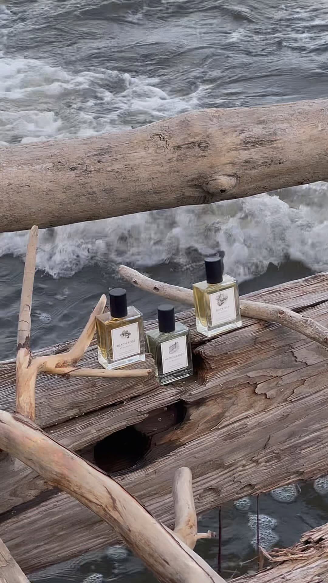 Post 10 by BLUEHILL Fragrances on Instagram (video)