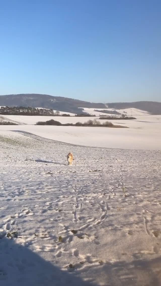 Post 7 by Sarah Contessa on Instagram (video)