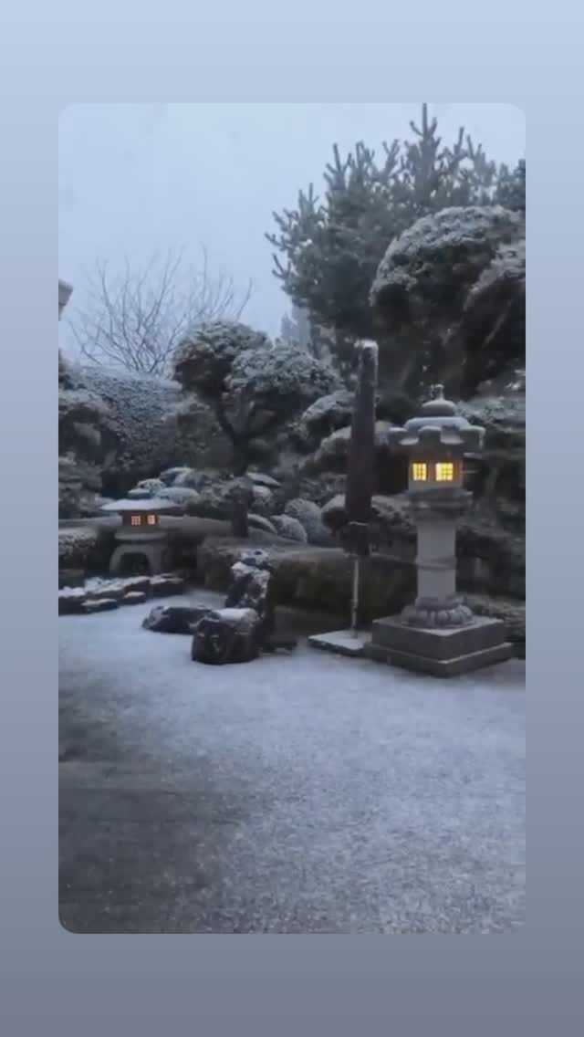Post 9 by Sarah Contessa on Instagram (video)