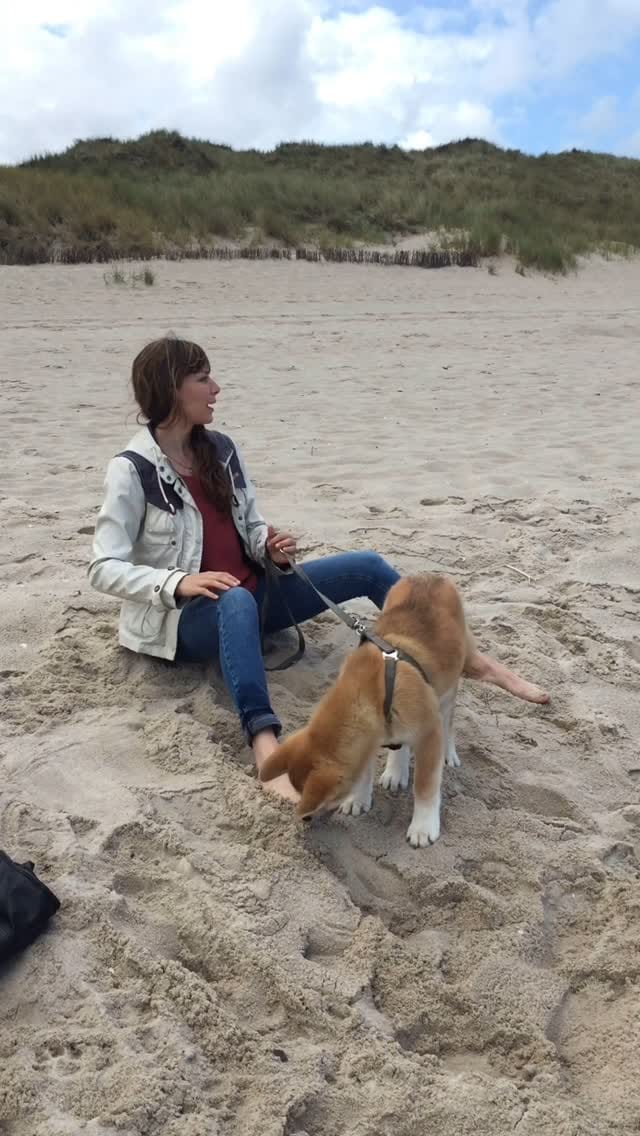 Post 5 by Sarah Contessa on Instagram (video)