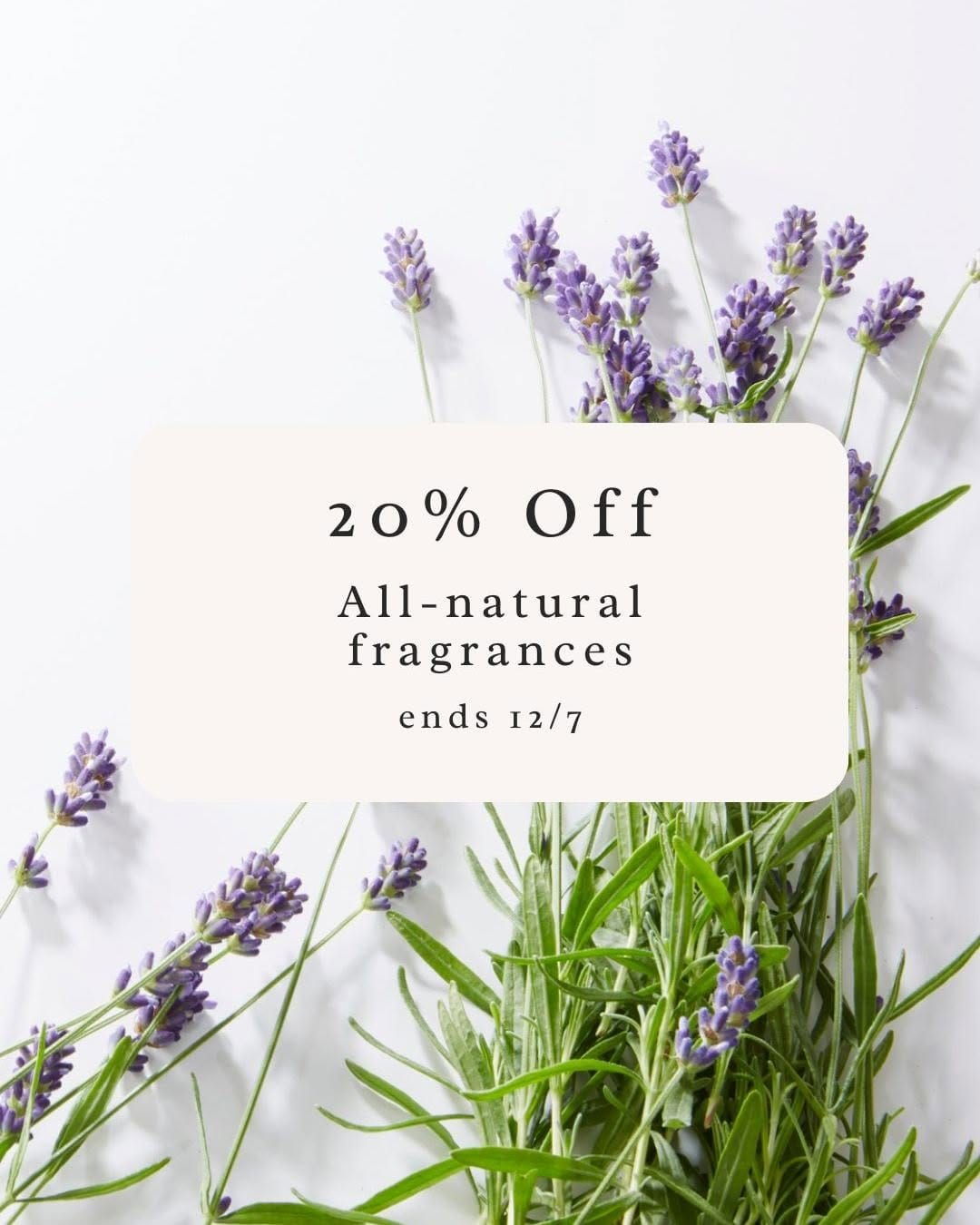 Post 8 by The Essential Oil Company on Instagram (carousel)