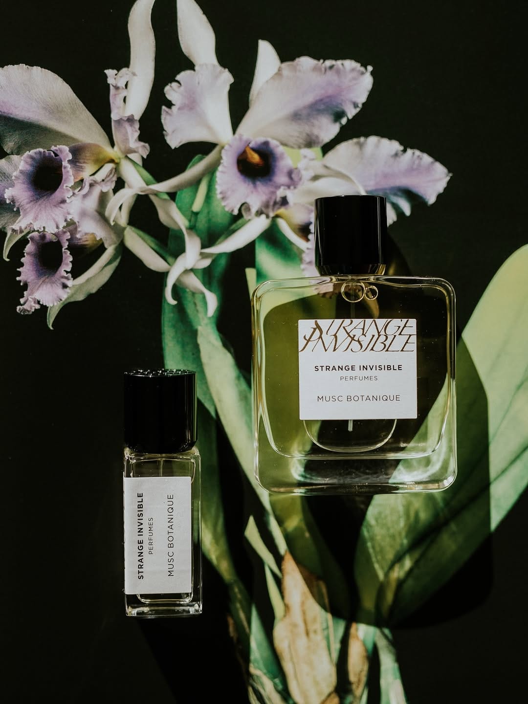 Post 9 by Strange Invisible Perfumes on Instagram (image)