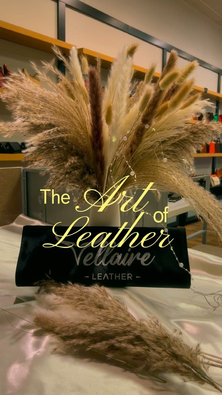 Post 3 by ＶＥＬＬＡＩＲＥ on Instagram (video)