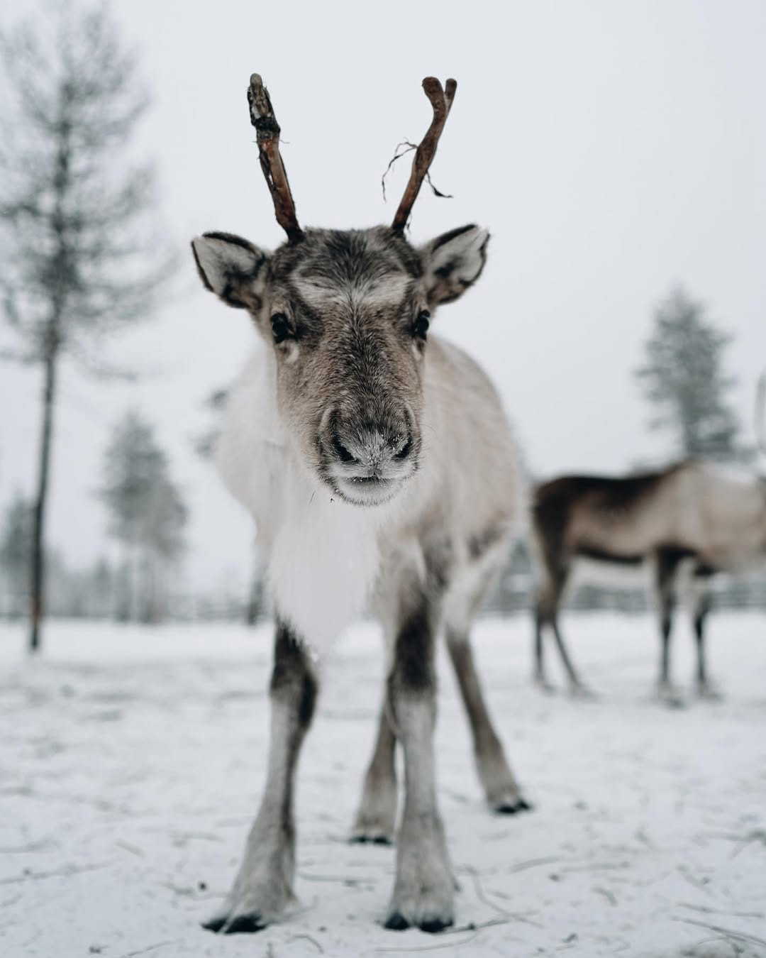 Post 7 by Kristof Schmidt on Instagram (image)