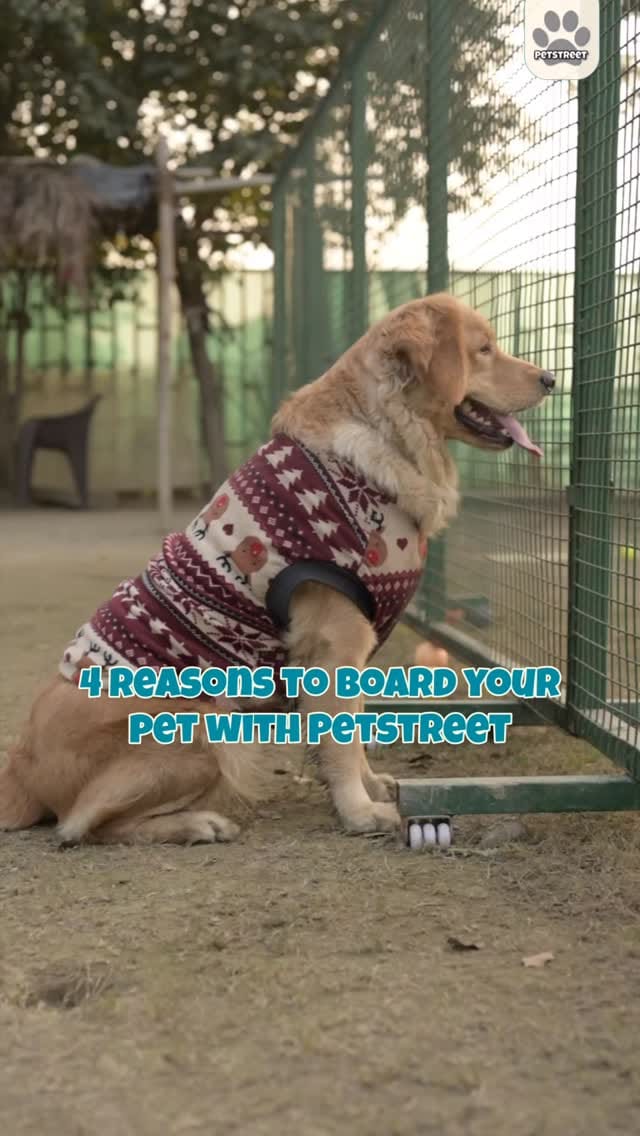 Post 8 by PETSTREET ™ | All-In-One Pet Care on Instagram (video)