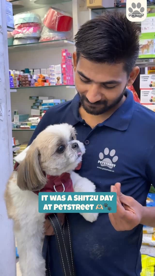 Post 10 by PETSTREET ™ | All-In-One Pet Care on Instagram (video)