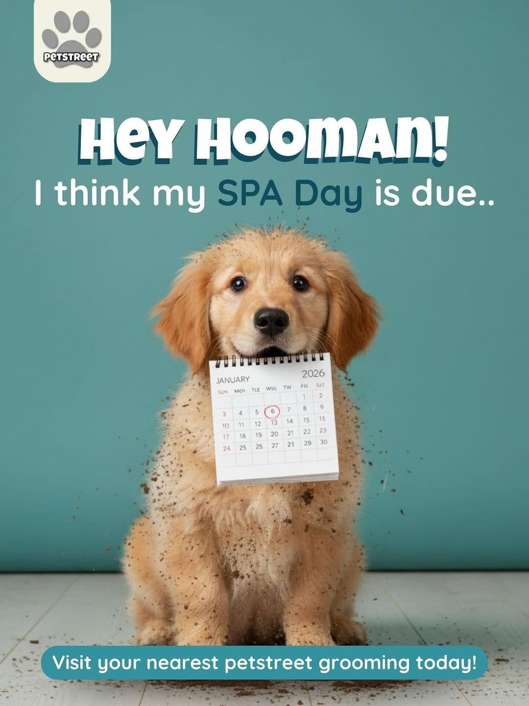 Post 6 by PETSTREET ™ | All-In-One Pet Care on Instagram (image)